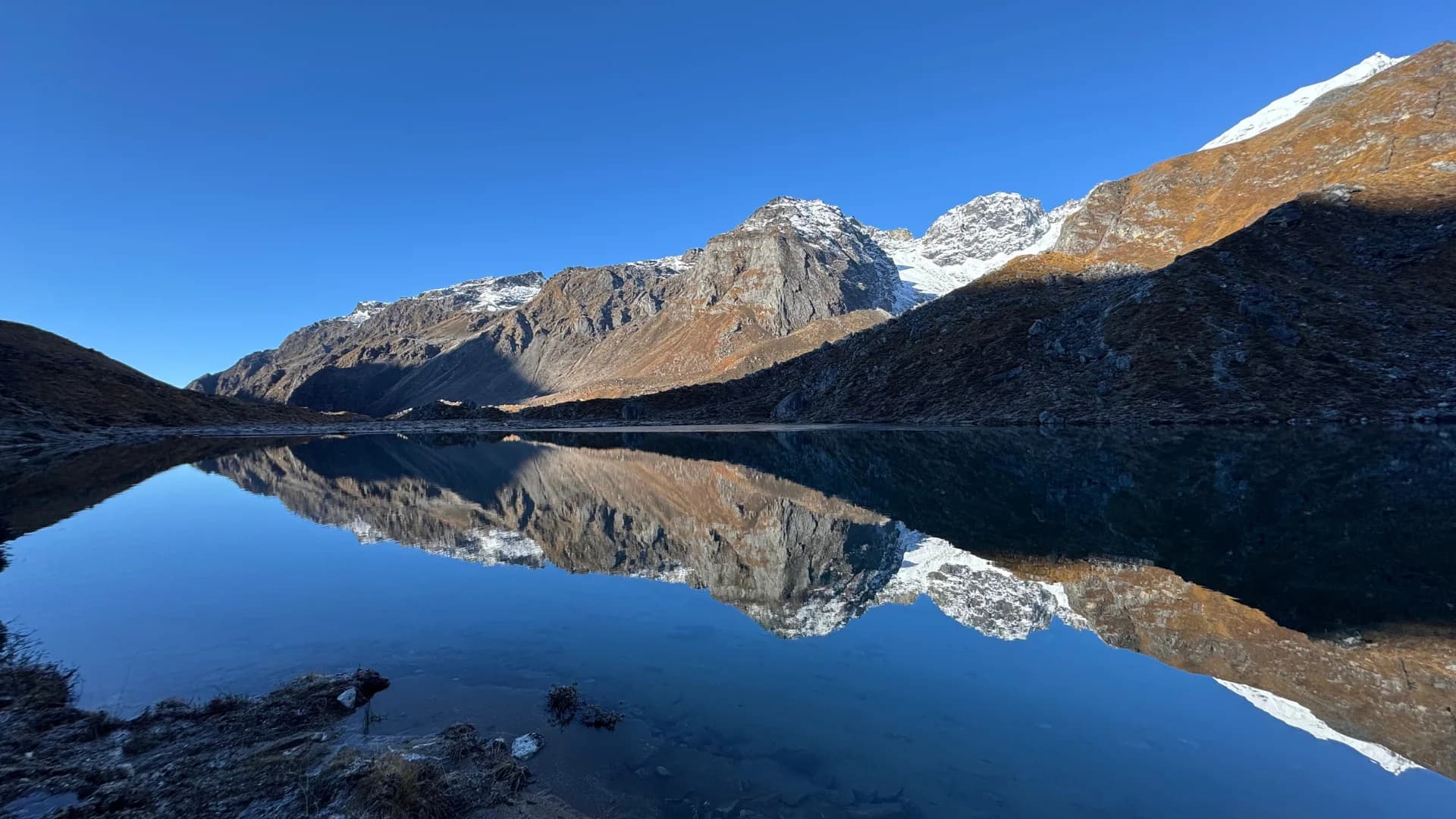 Goechala Trek: Rhododendron Special