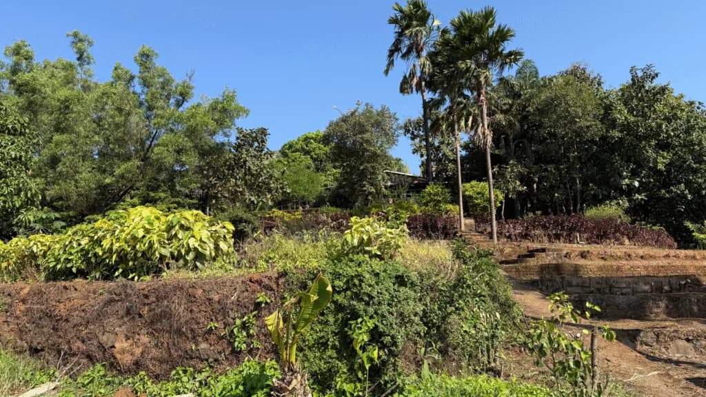 Women’s Day Special Activity at GGIM Valane Campsite