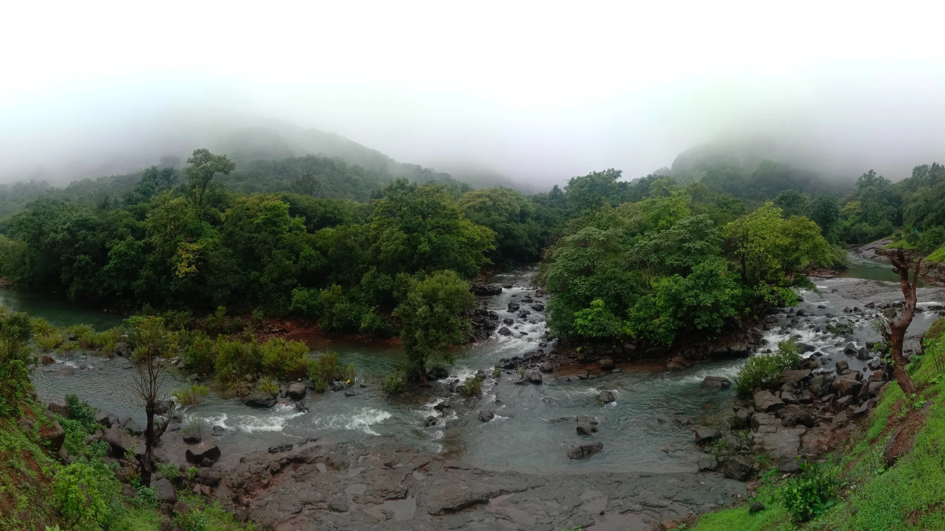 Bhorgiri To Bhimashankar Jungle Trek