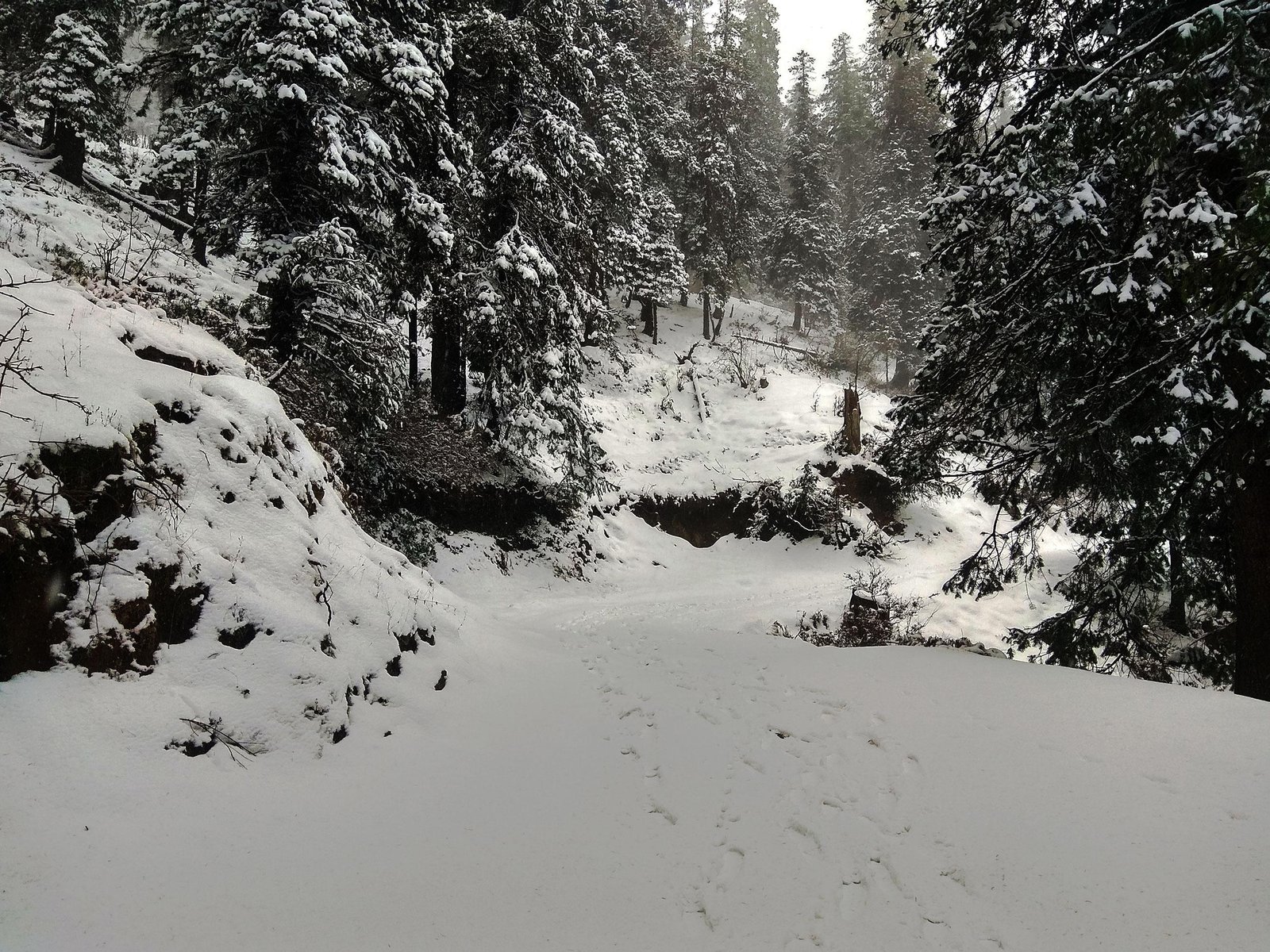 Bijlee Mahadev Trek 