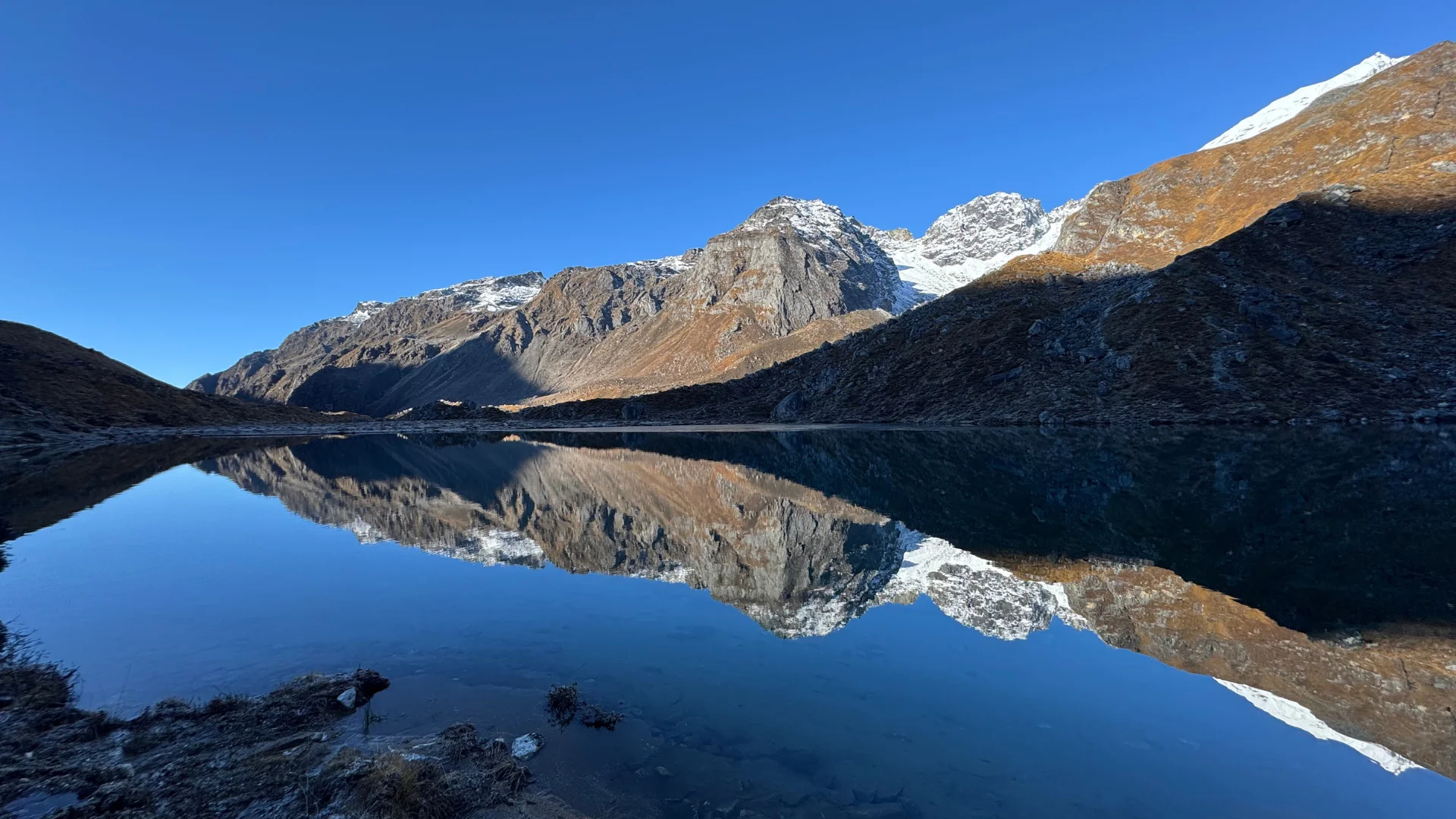 Goechala Trek: Rhododendron Special