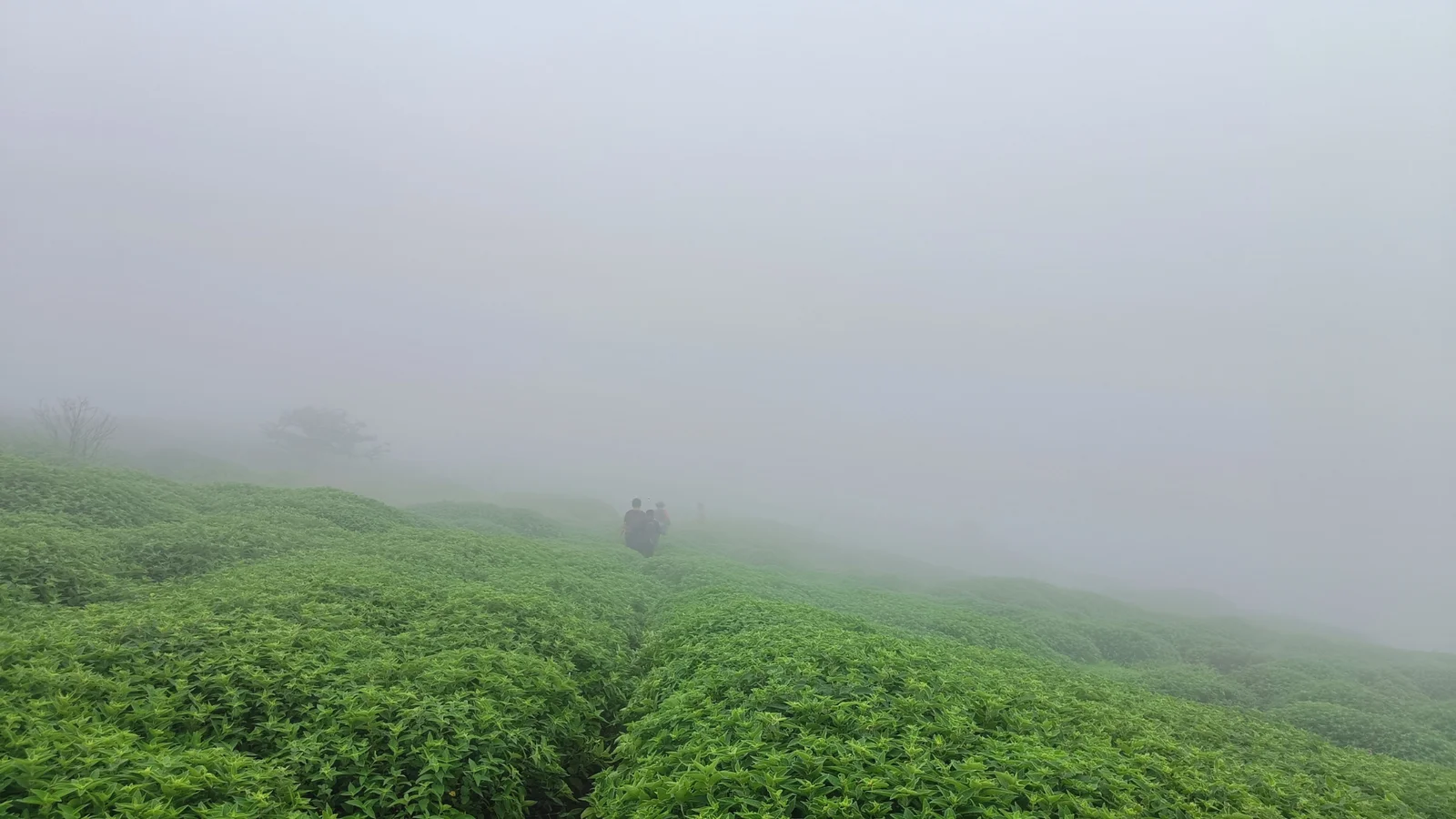 Kusur Plateau Trek