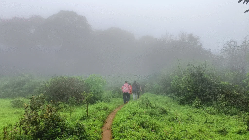 Kusur Plateau Trek
