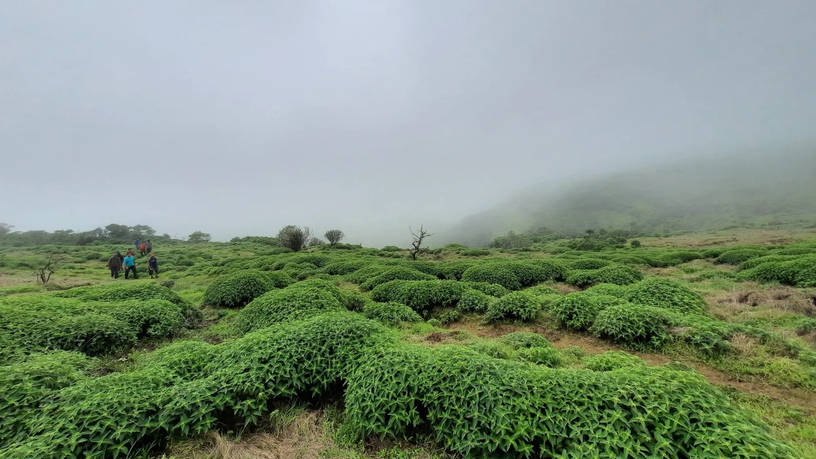 Kusur Plateau Trek