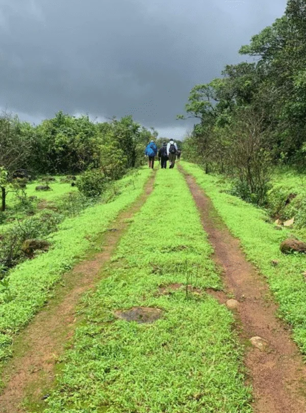 Kusur Plateau Trek