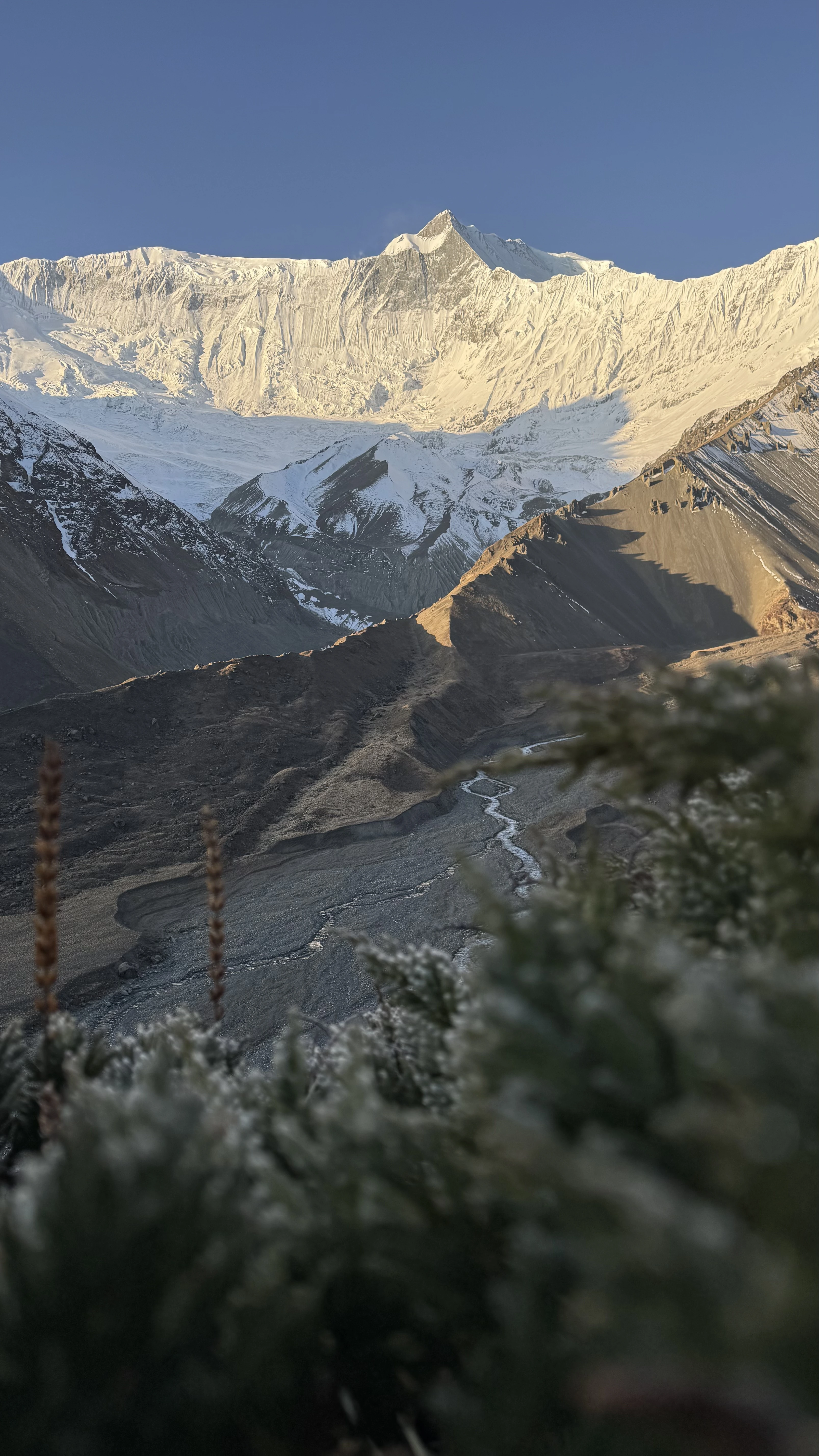 Annapurna Circuit Trek with Tilicho Lake 