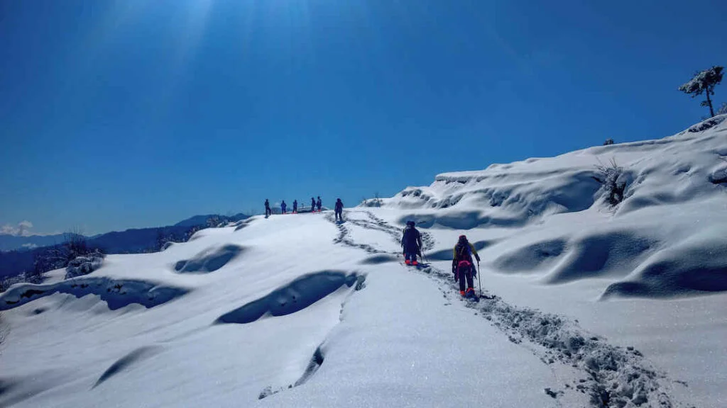 Ali Bedni Bugyal Winter Trek