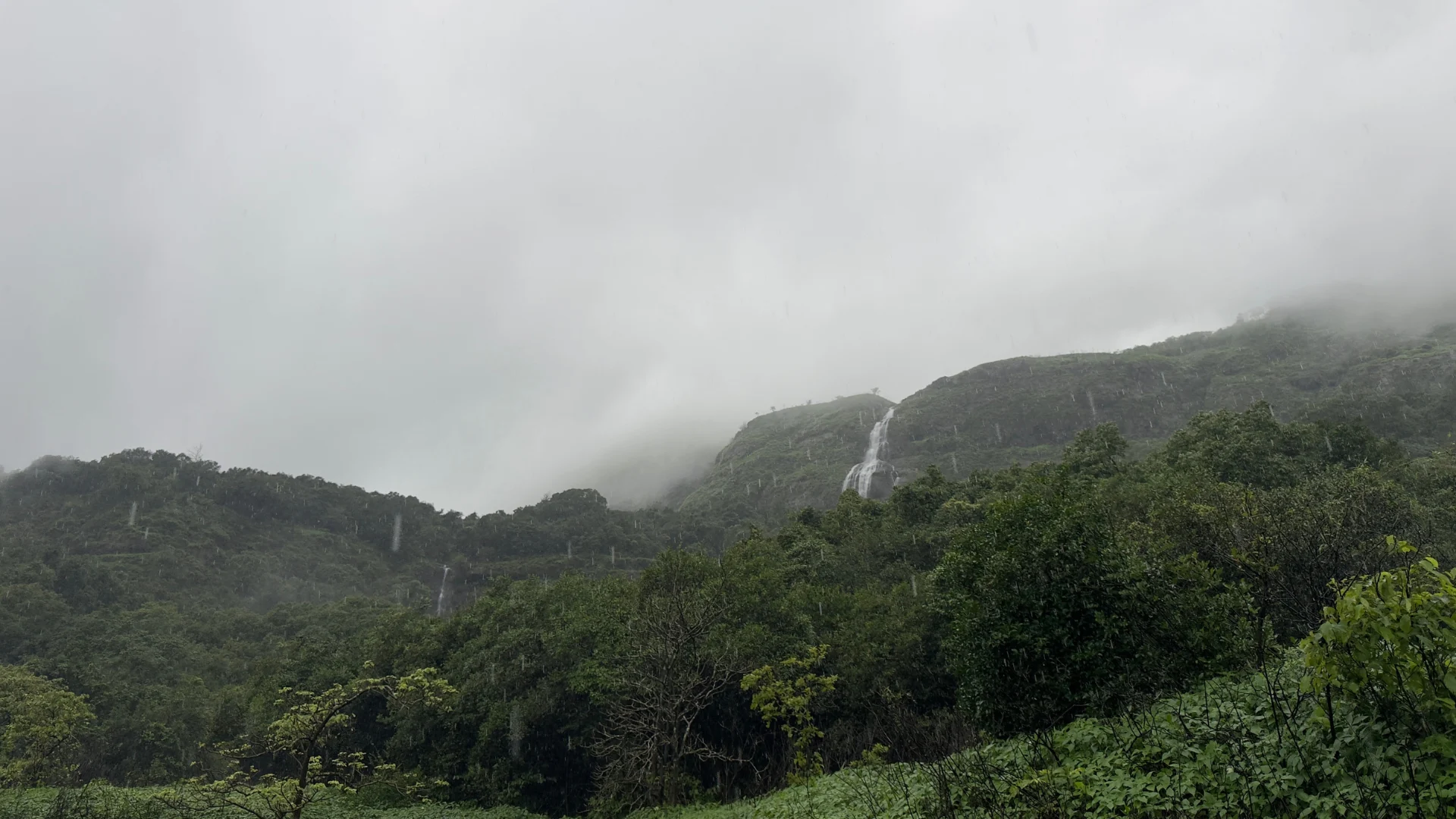 Andharban Forest Trek
