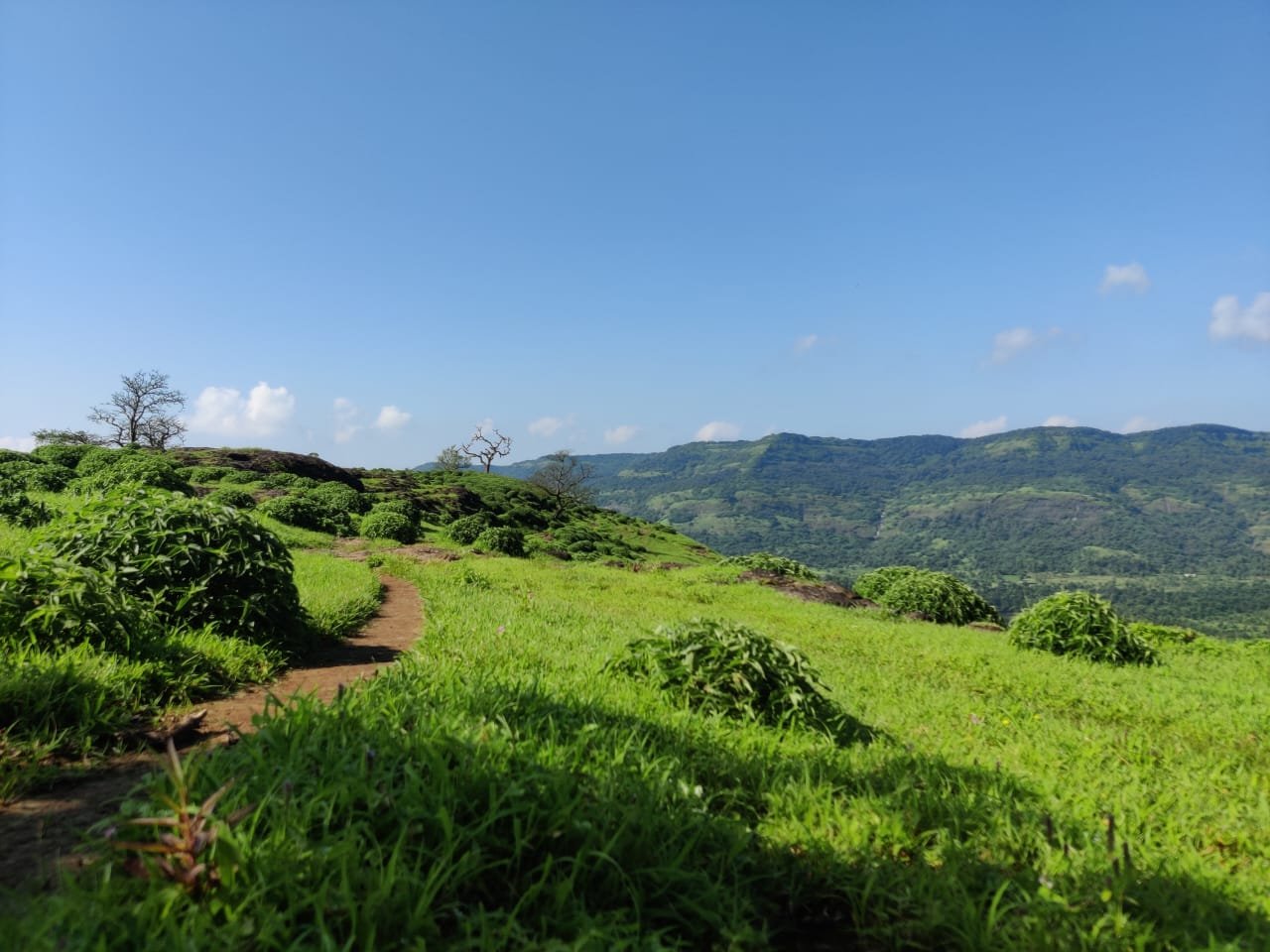 Avalon Heights International School: Disu Waterfall Trek