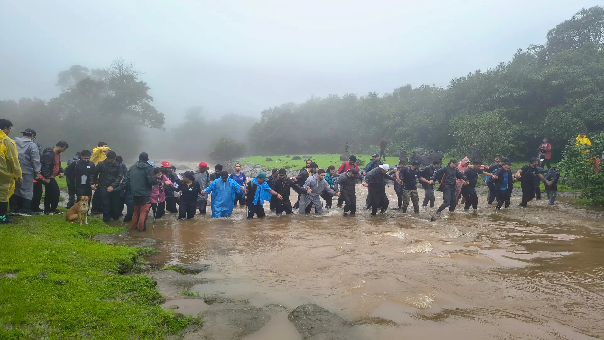 Bhorgiri To Bhimashankar Jungle Trek
