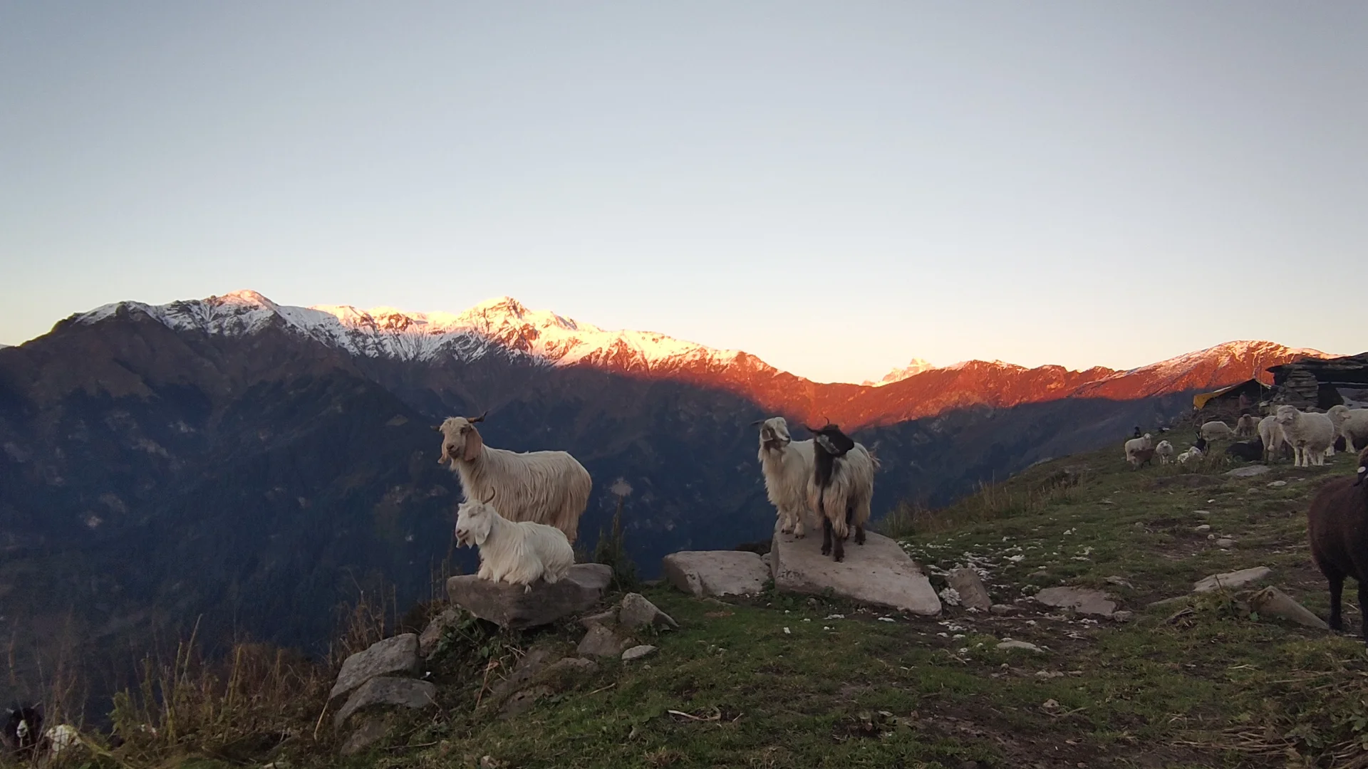 Chandrakhani Pass Trek