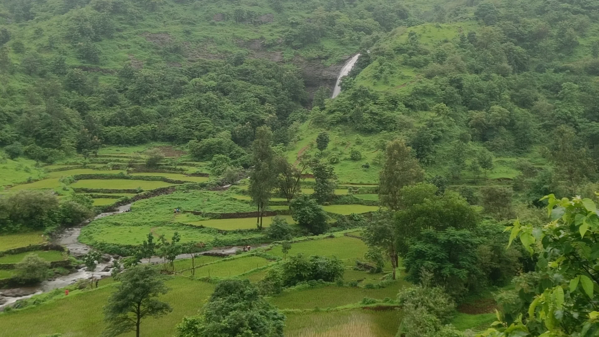 Garbett Plateau Monsoon Trek