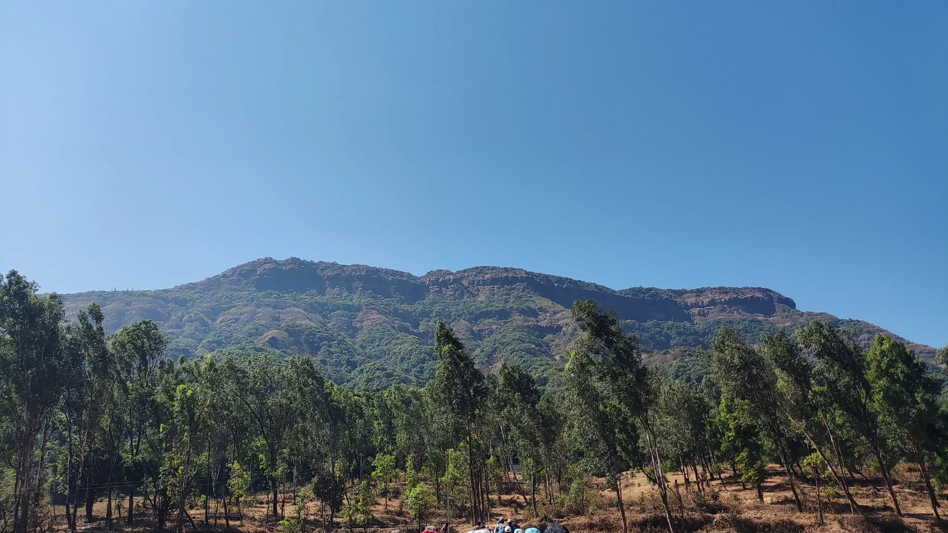 Jor To Mahabaleshwar Jungle Trek
To Support Giripremi's Mt. Saheb Chasa Expedition