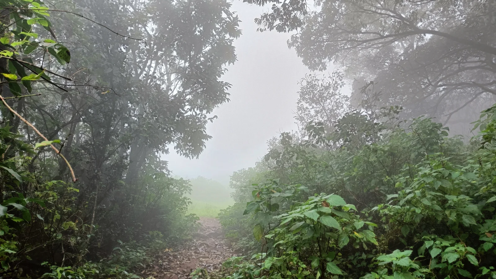 Kusur Plateau Trek