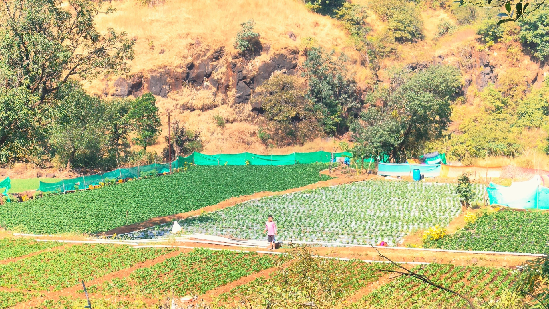 Mahabaleshwar(Lodwick Point) To Dare Trek