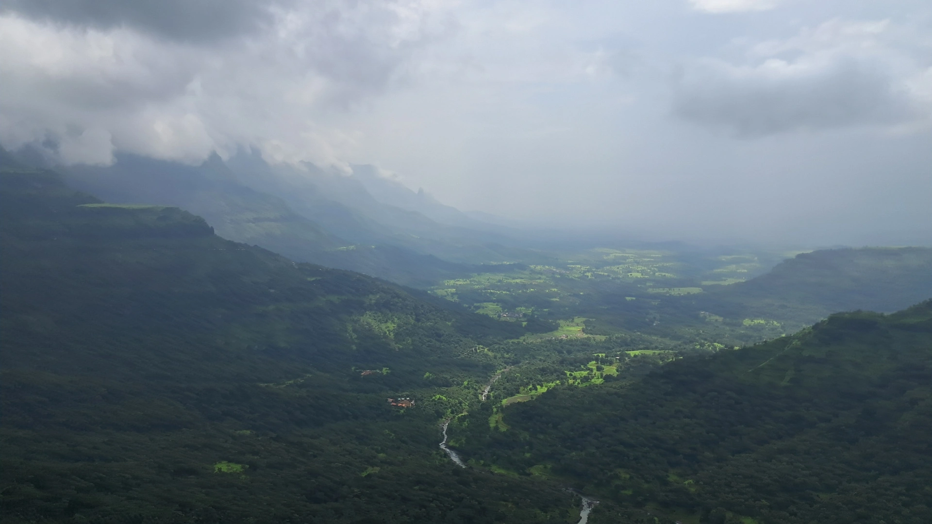 MITWPU: Aadrai Jungle Trek