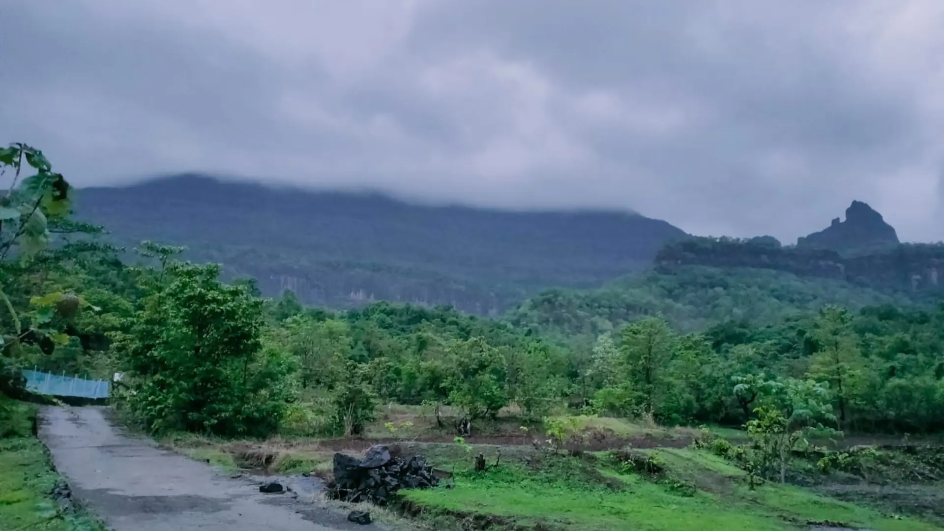 Offbeat: Khandas To Bhimashakar Trek
(Ascent via Shidichi Vaat; Descend via Ganesh Ghat)