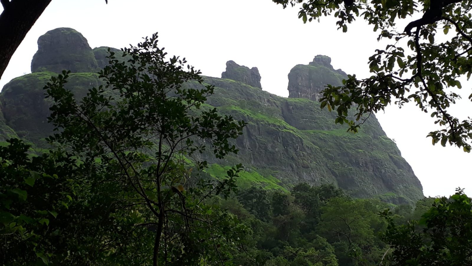 Offbeat: Khandas To Bhimashakar Trek
(Ascent via Shidichi Vaat; Descend via Ganesh Ghat)