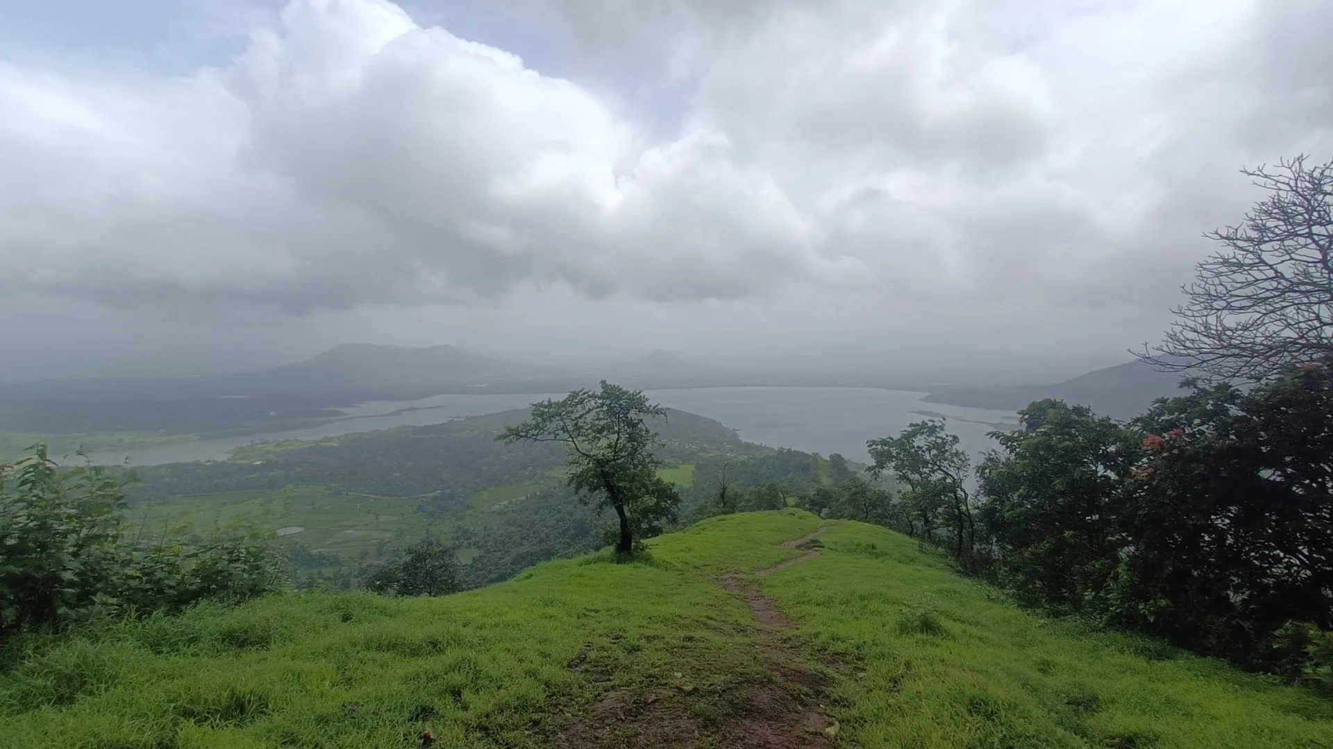 One Tree Hill Trek