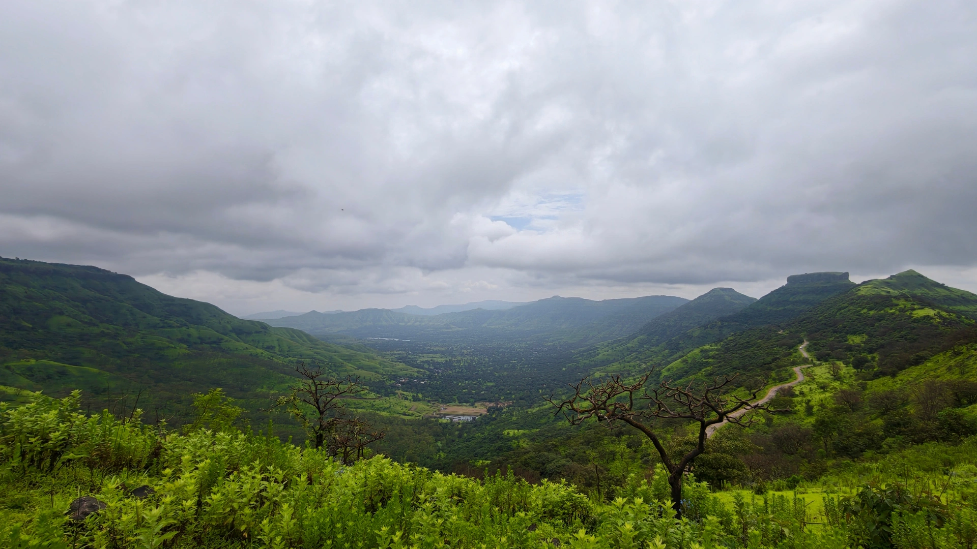 Raireshwar Plateau Trek (Flowers Special)