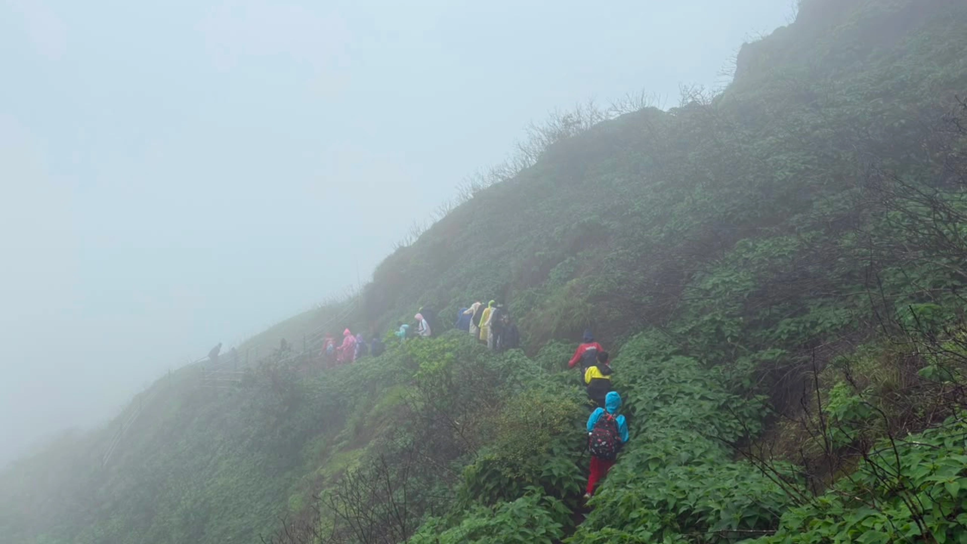 Rohida Fort Trek