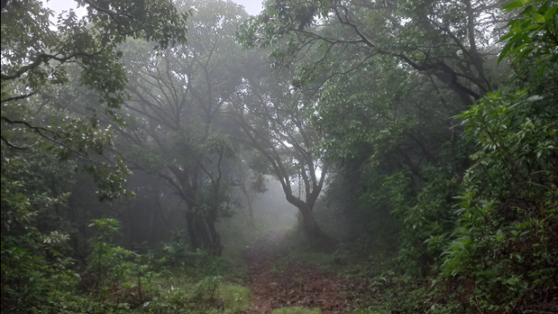 Shikhar Mahadev Trek