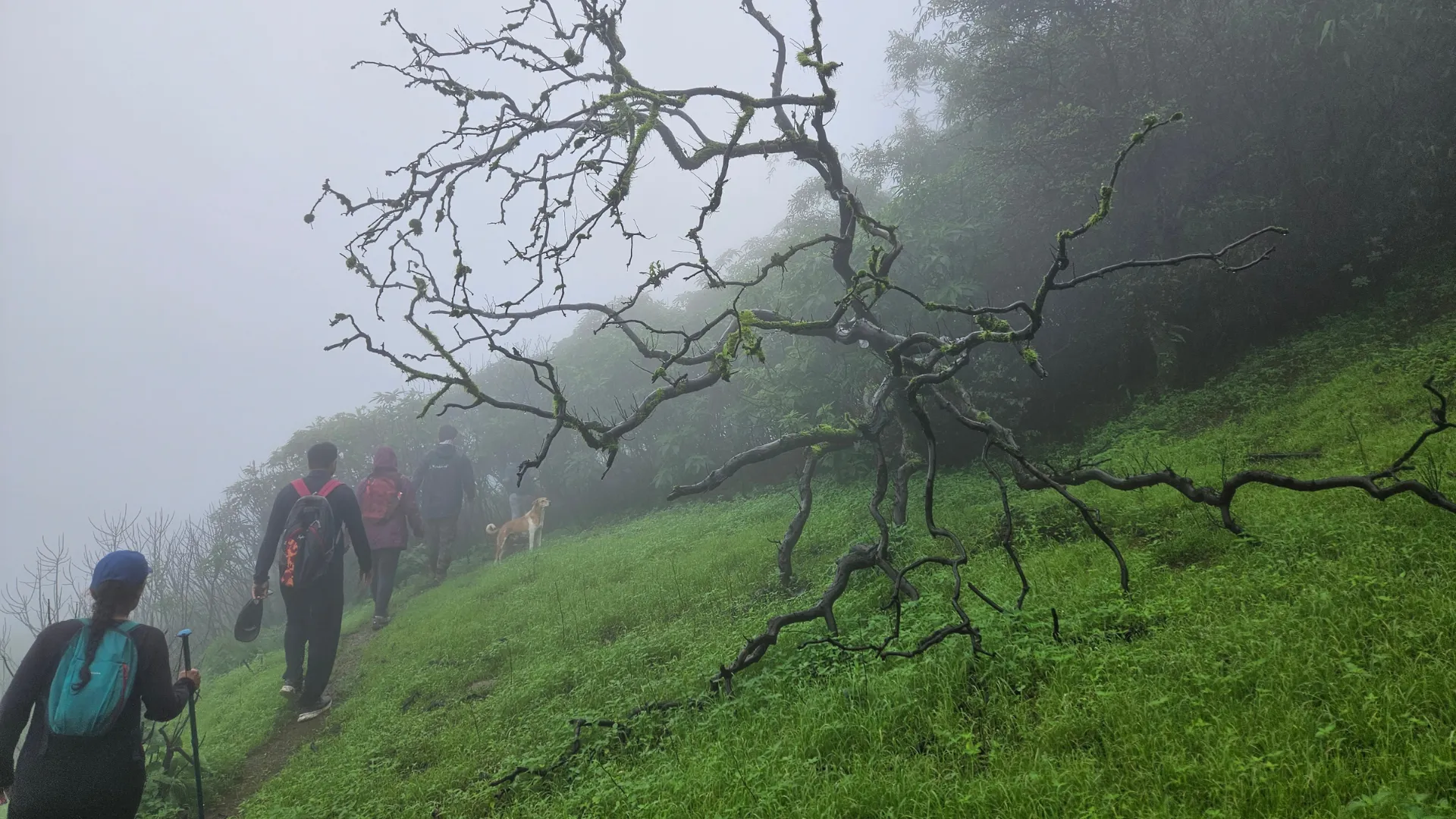 Tamhini Hills Trek