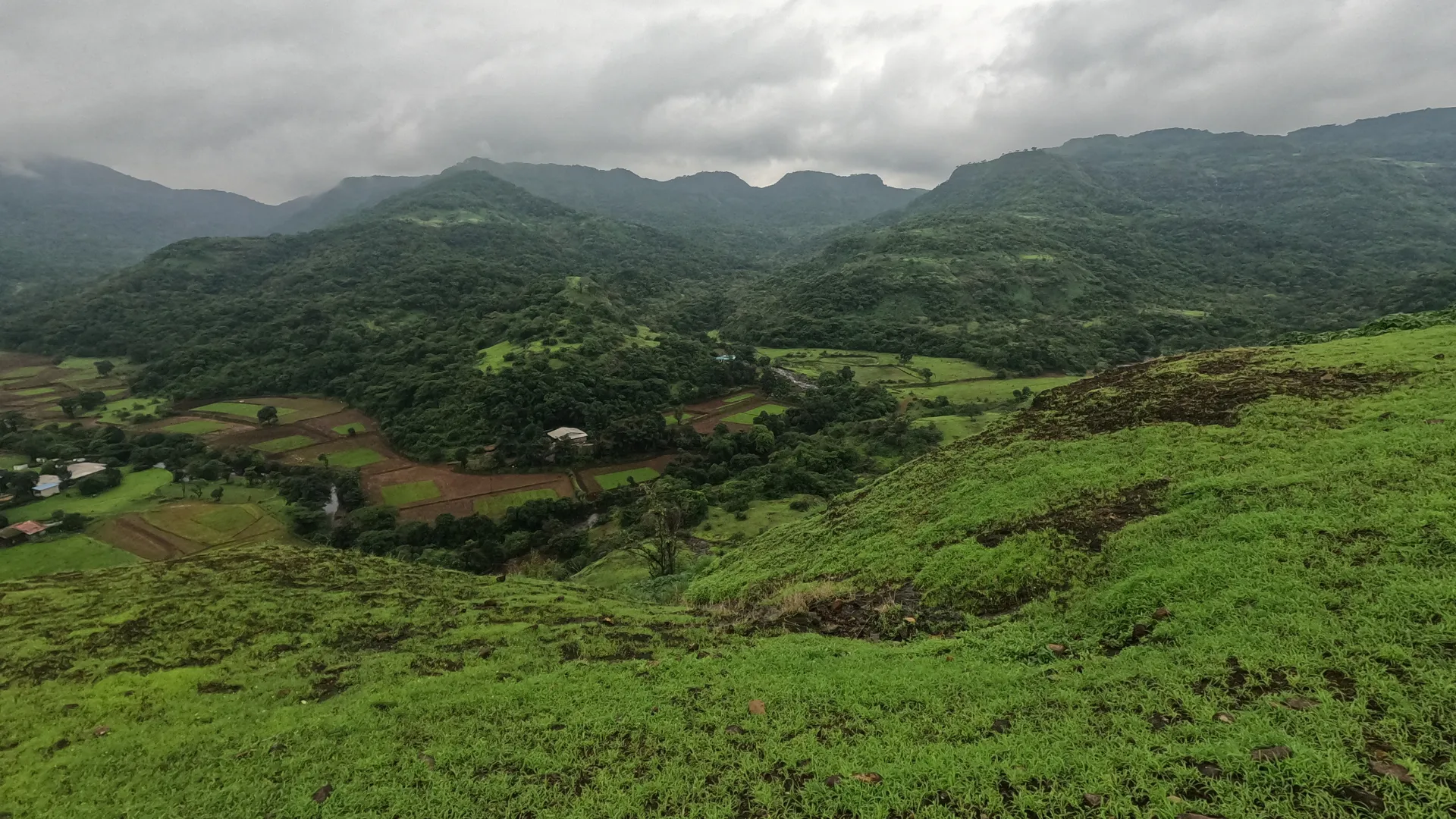 Tamhini Hills Trek