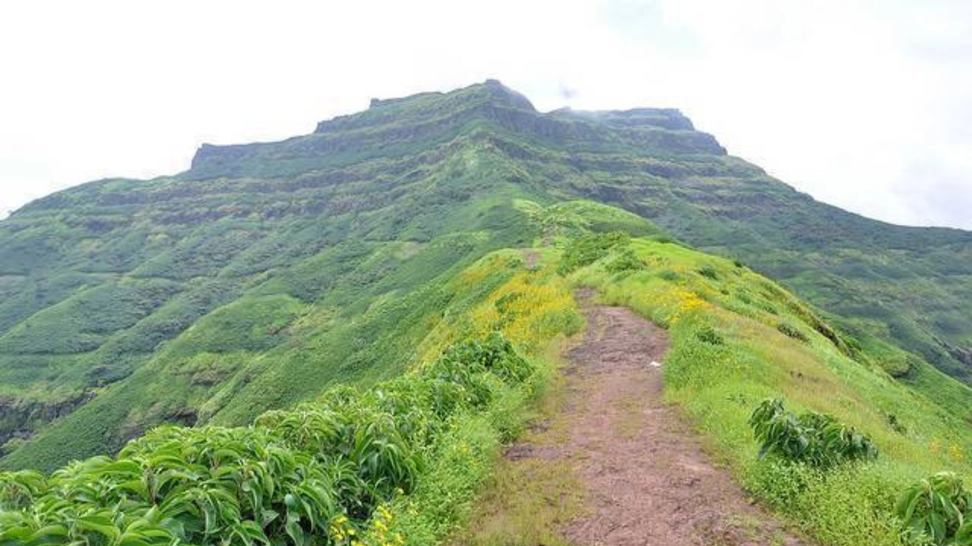 Torna Fort via Metpilaware Trek