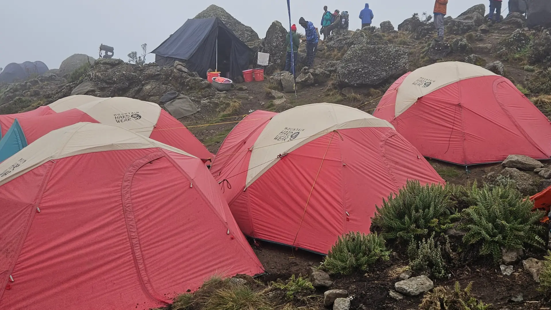 Mt. Kilimanjaro