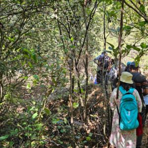 Pargaon to Pratapgad trek (8)