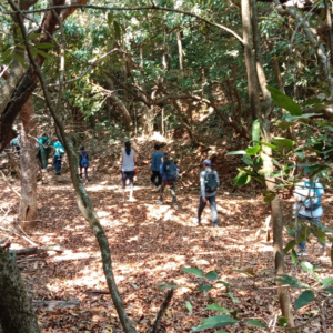 Jor to bahirichi Ghumti trek (2)