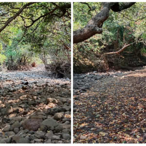 Jor to bahirichi Ghumti trek (5)