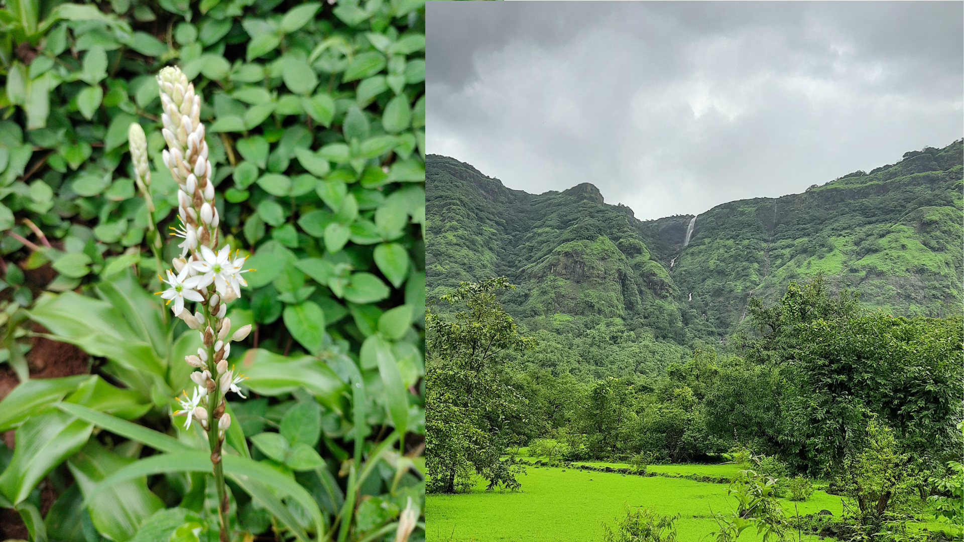 Madhe Upande Ghat (2)