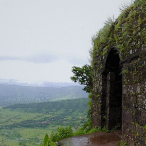 Rohida Fort (1)