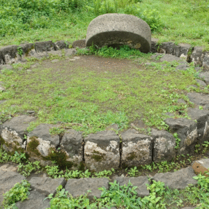 Rohida Fort (3)