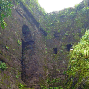 Rohida Fort (9)