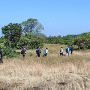 Tail Baila To Thanale Caves Trek (7)