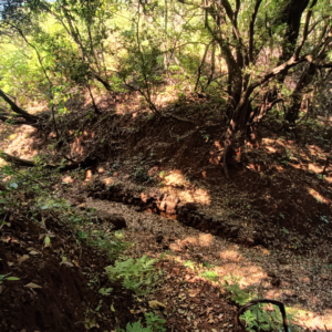 Kokandiva Fort trek (6)