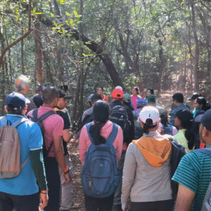 Mahabaleshwar To Dare Jungle Trek (1)