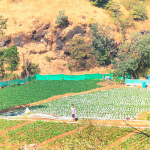 Mahabaleshwar To Dare Jungle Trek (3)