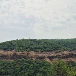 Mahabaleshwar To Dare Jungle Trek (6)