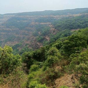 Mahabaleshwar To Dare Jungle Trek (8)
