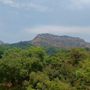 Mahabaleshwar To Dare Jungle Trek (9)