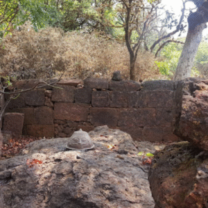 Raireshwar To Koleshwar trek (1)