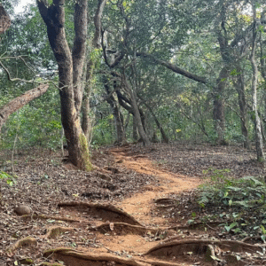 Raireshwar To Koleshwar trek (4)