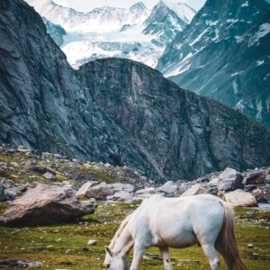 WhatsApp Image 2025-12-02 at 1.08.36 PM